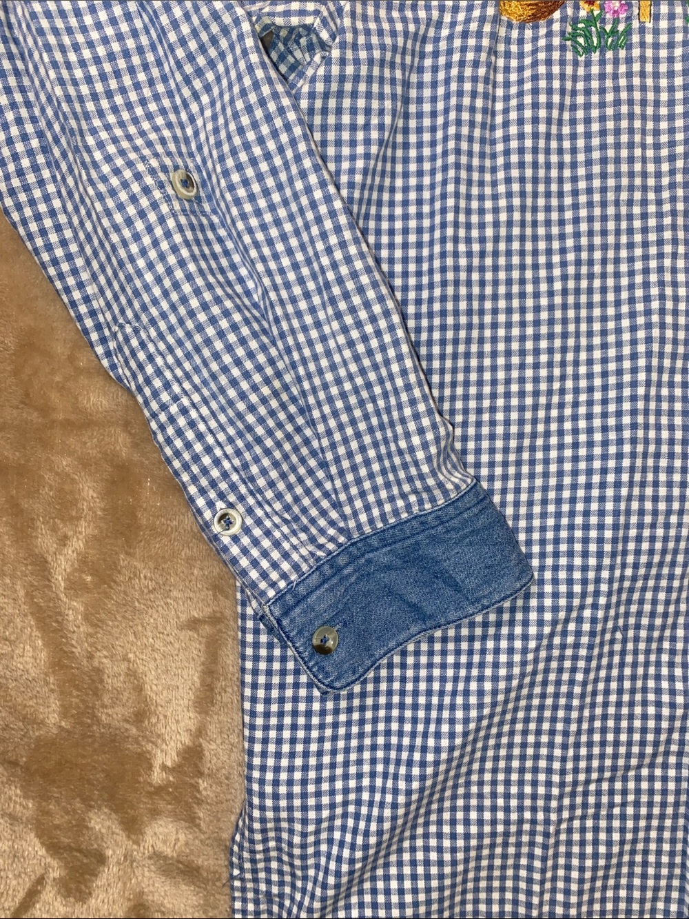 Quaker Factory Blue Gingham Button-Up Shirt with Embroidered Birdhouses - Picture 6 of 7